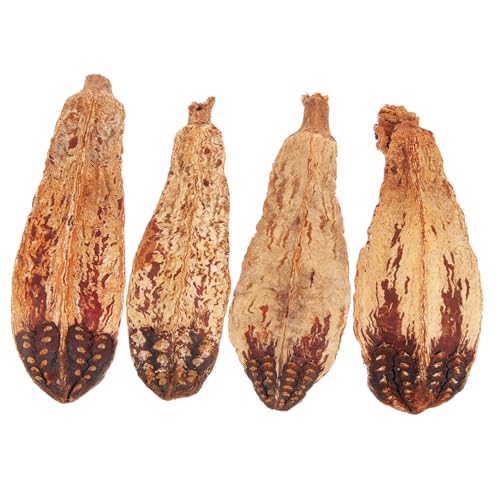 DECOMELODY 4 Stück Teiliges Papageien kauspielzeug aus Natürlichem Material Lustiges Beißspielzeug für Wellensittiche und Cockatiels Sicher und Langlebig Sorgt für Beschäftigung und Spaß im DECOMELODY 4 Stück Teiliges Papageien kauspielzeug aus Natürlichem Material Lustiges Beißspielzeug für Wellensittiche und Cockatiels Sicher und Langlebig Sorgt für Beschäftigung und Spaß im von DECOMELODY