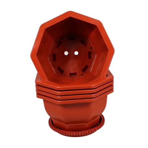 DECOMELODY 5 Stück kleine Töpfe für Pflanzen sechseckig Gartentöpfe Bonsai Pflanzentopf Anlage Kleine saftige Töpfe Plastikblumentöpfe große Blumentöpfe Erdbeerpflanzer pp rot von DECOMELODY