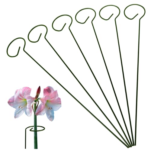 DECOMELODY 6 Stück Pflanzenstütze Metall Gartenspieß Stabile Rankhilfe für Orchideen Zimmerpflanzen Outdoor Pflanzenhalter Robust Wetterfest Pflanzenstützpfahl von DECOMELODY