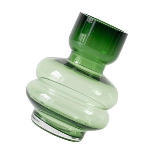 DECOMELODY Delikate Transparente Glasvase Nordischer Stil Moderne Hydroponik Flasche Dekorative Blumenvase für Tischdekoration Wohnzimmer und Büro Wohnaccessoires DECOMELODY Delikate Transparente Glasvase Nordischer Stil Moderne Hydroponik Flasche Dekorative Blumenvase für Tischdekoration Wohnzimmer und Büro Wohnaccessoires von DECOMELODY