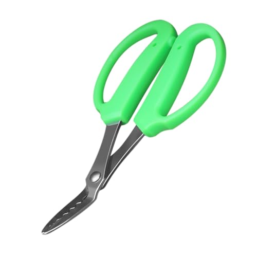 DECOMELODY Ergonomische Unkrautschere mit Dornschneider Funktion Kleine Jäteschere für Topfpflanzen Langlebiges Gartenwerkzeug zur Gras und Distelbeseitigung für Gartenliebhaber und Präzise DECOMELODY Ergonomische Unkrautschere mit Dornschneider Funktion Kleine Jäteschere für Topfpflanzen Langlebiges Gartenwerkzeug zur Gras und Distelbeseitigung für Gartenliebhaber und Präzise von DECOMELODY