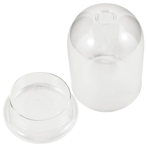 DECOMELODY Glas Terrarium Vase Mikrolandschaft Glasflasche Klarer Display Cloche Tischdekoration Langlebig Leichter Pflanzbehälter für Sukkulenten Moos DIY Kleine Ökosphäre von DECOMELODY