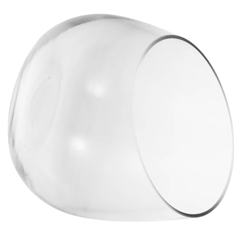 DECOMELODY Glasvase Schräger Rand Dekorative Hydroponik Pflanzgefäß Kleine Blumenvase für Sukkulenten Wohnzimmer Tischdeko Moderne Vasen für Zuhause DECOMELODY Glasvase Schräger Rand Dekorative Hydroponik Pflanzgefäß Kleine Blumenvase für Sukkulenten Wohnzimmer Tischdeko Moderne Vasen für Zuhause von DECOMELODY