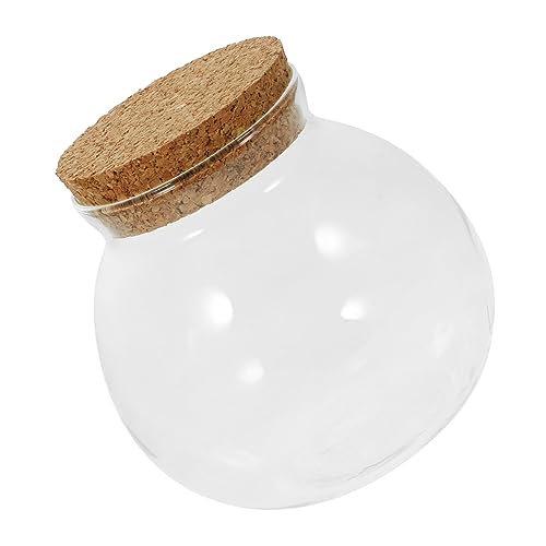 DECOMELODY Hydrokultur Terrarium mit Korkdeckel Dekoratives Pflanzengefäß für DIY Mikrolandschaften für Wohn und Schlafzimmerdekoration von DECOMELODY