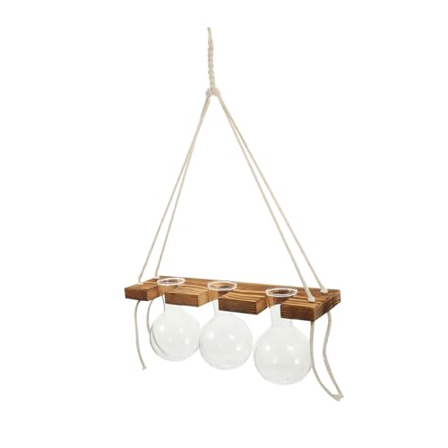 DECOMELODY Hydroponischer Pflanztopf Wandhalterung mit Holzständer Dekorative Hängende Blumenvase für Zuhause Büro und Garten Platzsparende Wanddekoration im Nordischen Stil DECOMELODY Hydroponischer Pflanztopf Wandhalterung mit Holzständer Dekorative Hängende Blumenvase für Zuhause Büro und Garten Platzsparende Wanddekoration im Nordischen Stil von DECOMELODY