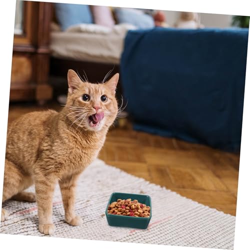 DECOMELODY Keramik Katzenfutternapf mit Holztablett rutschfest Leicht zu Reinigen Vielseitig für Katzen Kleine Hunde und Haustiere Teiliges Futter und Wassernapf Zubehör von DECOMELODY
