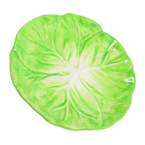 DECOMELODY Keramik Teller Servierplatte Multifuntional Küchen Geschirr Kreativ Salatteller Obstteller Dessertteller Mittelgroß Praktisch Für Zuhause und von DECOMELODY