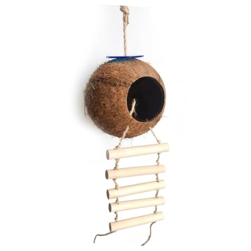 DECOMELODY Kokosnussschale Vogelnest mit Leiter Vogelspielzeug für Wellensittiche Kleintiere Geeignet Sicher Warmes Versteck aus Natürlicher Kokosnuss Zufällige Farbe Zufällige Farbe DECOMELODY Kokosnussschale Vogelnest mit Leiter Vogelspielzeug für Wellensittiche Kleintiere Geeignet Sicher Warmes Versteck aus Natürlicher Kokosnuss Zufällige Farbe Zufällige Farbe von DECOMELODY