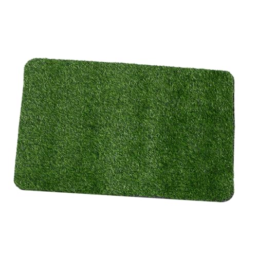 DECOMELODY Künstliche Gras Türmatte rutschfest für Innen Außen Eingangsbereich Haustür Fußmatte mit Natürlichem Design und Dicke Zufällige Farbe Zufällige Farbe DECOMELODY Künstliche Gras Türmatte rutschfest für Innen Außen Eingangsbereich Haustür Fußmatte mit Natürlichem Design und Dicke Zufällige Farbe Zufällige Farbe von DECOMELODY