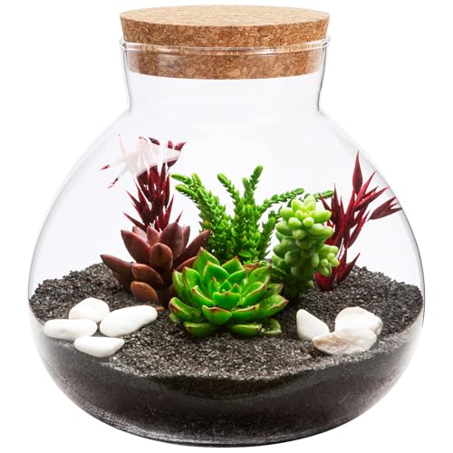 DECOMELODY Mikrolandschaft Ökologische Flasche Runde Glasflasche mit Korkverschluss DIY Terrarium für Pflanzen und Blumen Dekorativer Glasbehälter für Zuhause Langlebig und Platzsparend von DECOMELODY
