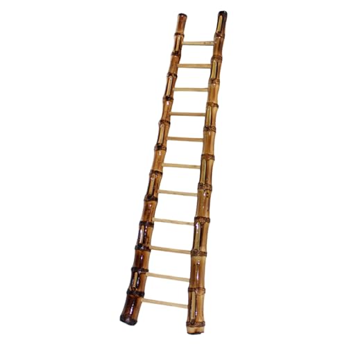 DECOMELODY Mini Bambusleiter Miniatur Puppenhaus Zubehör für Feengarten Dekoration Leicht und Langlebig Kreative Spielzeugleiter für Ab Jahren Platzsparend und Vielseitig Einsetzbar DECOMELODY Mini Bambusleiter Miniatur Puppenhaus Zubehör für Feengarten Dekoration Leicht und Langlebig Kreative Spielzeugleiter für Ab Jahren Platzsparend und Vielseitig Einsetzbar von DECOMELODY