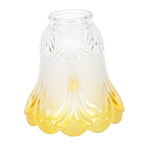 DECOMELODY Moderner Deckenlampenschirm aus Mattiertem Glas Robuster Lampenschirm Ersatz für Wohnzimmer und Schlafzimmer Langlebige Schützende Lampenabdeckung Einfach zu Montieren Stilvolles von DECOMELODY
