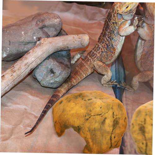 DECOMELODY Resin Reptilien Versteck Höhle Kleines Schildkrötenversteck mit Klettermöglichkeit für Terrarium Aquarium Dekoration Lebensechte Felsenoptik Bpa frei Langlebig und Leicht zu DECOMELODY Resin Reptilien Versteck Höhle Kleines Schildkrötenversteck mit Klettermöglichkeit für Terrarium Aquarium Dekoration Lebensechte Felsenoptik Bpa frei Langlebig und Leicht zu von DECOMELODY