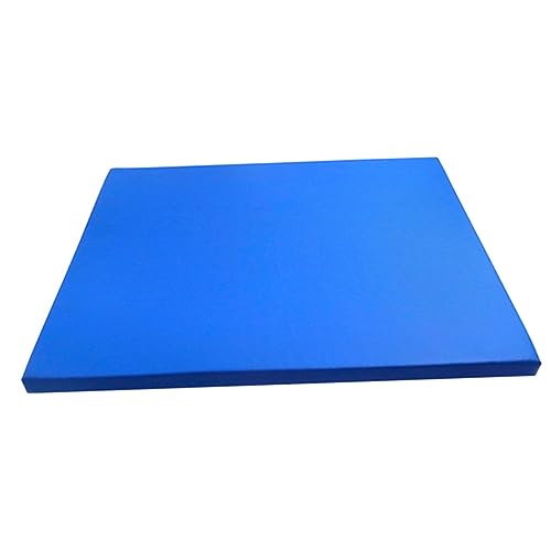 DECOMELODY Sohlen Desinfektionsmatte S Blau Wiederverwendbare Desinfektionsbodenmatte für Eingangsbereiche Effektive von Schuhen und Stiefeln Praktische Gummibasis von DECOMELODY