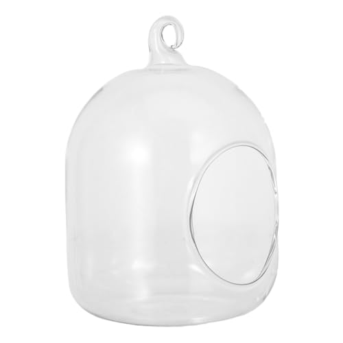 DECOMELODY Flaschen Terrarium Kleines Glasgefäß Mit Moos Mikrolandschaftsflasche Für Bürotisch Oder Heimdekoration Pflegeleichtes Terrarium Für Kleine Blumenvase von DECOMELODY