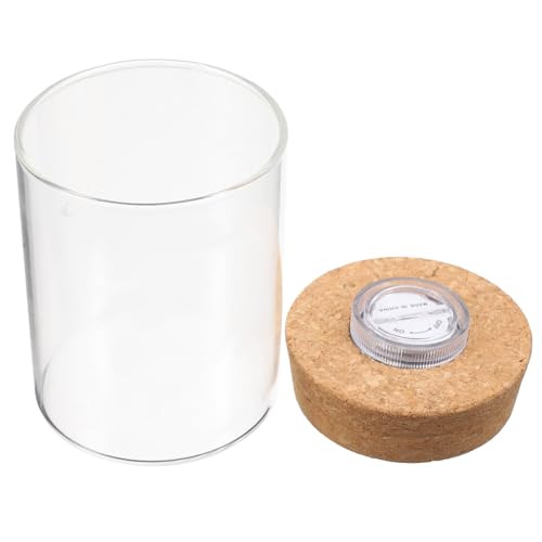 DECOMELODY Transparente Borosilikatglas Flasche mit Holzdeckel Mini Ökosystem Flaschengarten DIY Mikro Landschaft Dekorativer Glasbehälter für Zuhause Wohnzimmer Schlafzimmer Badezimmer von DECOMELODY