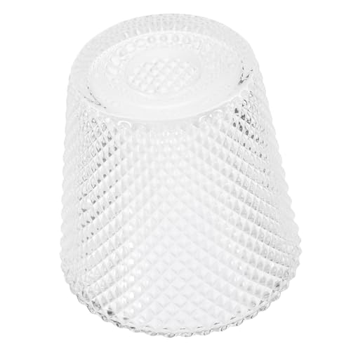 DECOMELODY Transparenter Glas Lampenschirm Pendelleuchte Lampenfassung Ersatzglas Lampenschirm für Tischlampen und DIY Wandlampen Warmes Licht Schlicht Langlebig von DECOMELODY