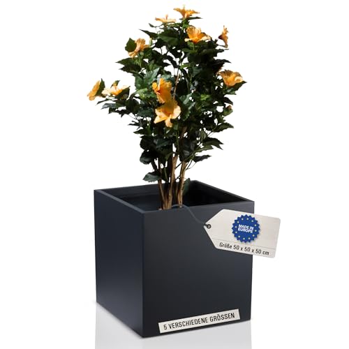 Pflanzkübel CUBO Fiberglas Pflanztopf - Farbe: anthrazit matt - robuster, UV-beständiger, wetterfester & frostsicherer Blumentopf für den Garten - TÜV-geprüfte Qualität… von DECORAS