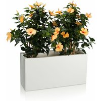 Pflanztrog VISIO 40 Kunststoff Blumenkübel, 80x30x40 cm (L/B/H), Farbe: weiß matt - weiß von DECORAS