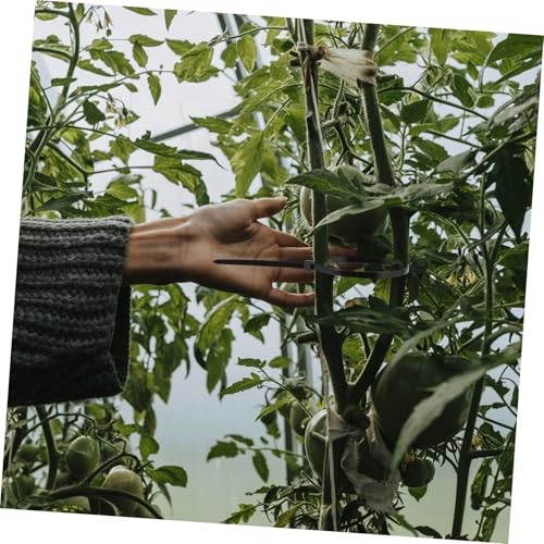 DECORNIJIA 100 Stück Langlebige Nylon Kabelbinder Selbstsichernd Wiederverwendbar mit Gebogenem Ende für Kabelmanagement und Vielseitigen Einsatz im Haushalt und Büro von DECORNIJIA