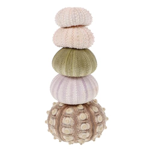 DECORNIJIA 5 Stück Natürliche Seeigel Schalen Pflanzgefäß Luftpflanzen Halter Muschel Dekoration für Aquarium Balkon Kreative Luftpflanzenhalterung von DECORNIJIA