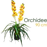 Decovego - Künstliche Orchidee Kunstpflanze Künstliche Pflanze Kunstblume Innendekoration Kunst Pflanze wie echt im Topf Auswahl von DECOVEGO