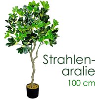 Schefflera Aralie Strahlenaralie Arboricola Kunstpflanze Kunstbaum Künstliche Pflanze 100 cm Innendekoration Kunst Pflanze wie echt im Topf Decovego von DECOVEGO