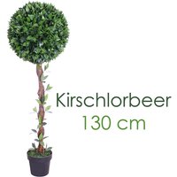 Kirschlorbeerbaum Kunstpflanze Kunstbaum Künstliche Pflanze 130cm Decovego von DECOVEGO