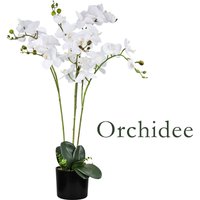 Decovego - Künstliche Orchidee Kunstpflanze Künstliche Pflanze Kunstblume Innendekoration Kunst Pflanze wie echt im Topf Auswahl von DECOVEGO