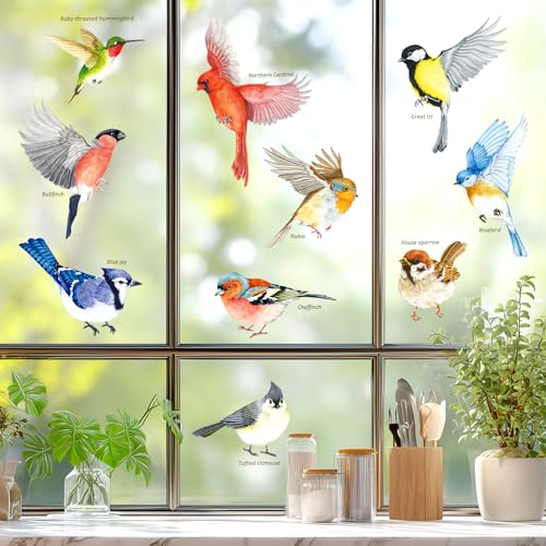 DECOWALL CDS2-9001 10 stück Vögel Fensterbilder Fensteraufkleber Fenster Frühling Fensterdeko Vogelschlag schutz Fenstersticker Wiederverwendbare DECOWALL CDS2-9001 10 stück Vögel Fensterbilder Fensteraufkleber Fenster Frühling Fensterdeko Vogelschlag schutz Fenstersticker Wiederverwendbare von DECOWALL