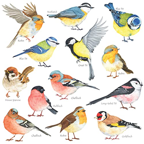 DECOWALL DS-8038 Small Birds Wall Sticker, Wall Decoration for Living Room, Bedroom, Children's Room, Small von DECOWALL