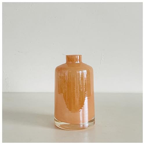 Glasvase Champagner Handgefertigte Skulptur Geblasene Kunst Tischplatte Pflanze Blume Behälter Handwerk Dekor Geschenk von DECRZPB