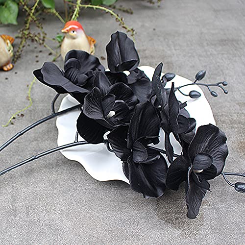 DEDEMCO 12 x schwarze Orchideen mit Stängeln, 38,1 cm, Tanzende Dame, Orchidee, künstliche Schmetterling, Seide, Phalaenopsis-Pflanzen, echte Orchideen, für Urlaub, Hochzeit, Party, Tischdekoration von DEDEMCO