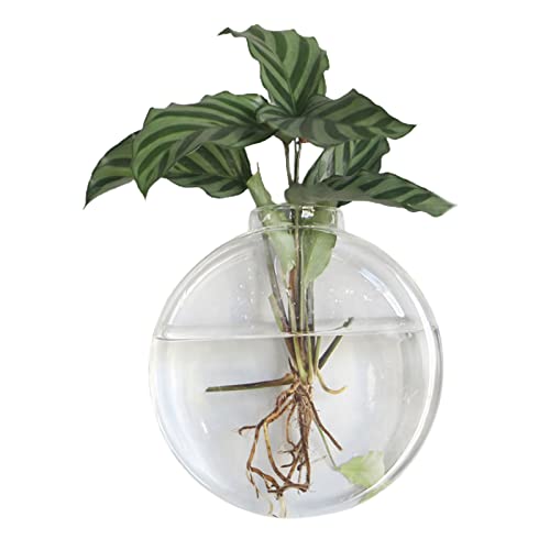 DEDEMCO Wandbehang aus Glas, Terrarien, Pflanzgefäß, 16 x 15 cm, hängende Anzuchtstation, Glaspflanzgefäße, Wandvase für Hydrokulturpflanzen, Heimdekoration, A4 von DEDEMCO