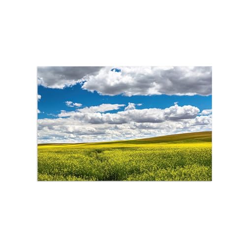 DEEBOW Landschaftsbild auf Leinwand. Rapsfeld unter Wolken. Natur Leinwandbilder. Kunstdrucke Wandbilder. Moderne Leinwand Wanddekoration Wohnzimmer 80x120cm Ungerahmt von DEEBOW