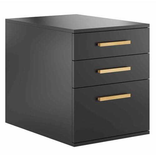 DEERHORN Büroschrank mit Schubladen Büroschrank für Dokumente Eichenholzschrank Schreibtisch Aktenschrank Schrank Klein Rollcontainer mit Schubladen Weiß, Schwarz oder Braun DEERHORN Büroschrank mit Schubladen Büroschrank für Dokumente Eichenholzschrank Schreibtisch Aktenschrank Schrank Klein Rollcontainer mit Schubladen Weiß, Schwarz oder Braun von DEERHORN MEBLE LOFTOWE