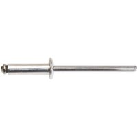 Lot von 50 alx trs Alu/Stahl Standardnieten Degometal 4 x 16 mm von DEGOMETAL