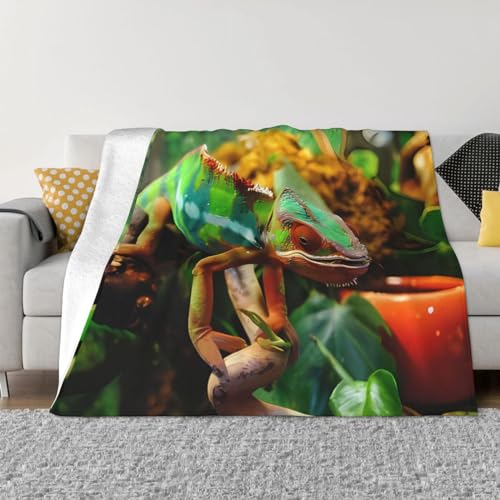 DEHIWI Süße Chamäleon-Flanell-Fleecedecke, 152,4 x 127,7 cm, ultraweich, warm, gemütlich, Überwurf, Decke, Ganzjahresdecken für Bett, Sofa, Wohnzimmer, Outdoor von DEHIWI