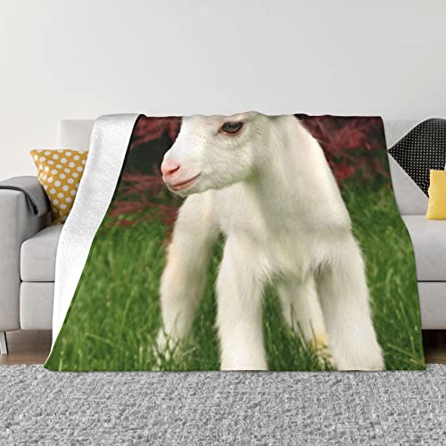 DEHIWI Ziegen-Flanell-Fleecedecke, 152,4 x 127,7 cm, ultraweich, warm, gemütlich, Überwurfdecke, Ganzjahresdecken für Bett, Sofa, Wohnzimmer, Outdoor von DEHIWI