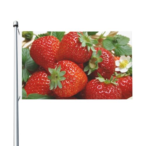 Obst-Erdbeer-Flagge, 90 x 150 cm, doppelseitig, Gartenflaggen, Willkommensflaggen, Banner, Dekoration für Innenhof, Veranda, Rasen von DEHIWI