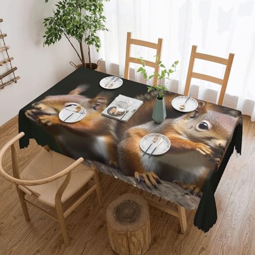 Tischdecke mit Eichhörnchen-Motiv, flecken- und knitterfrei, waschbar, rechteckig, für Küche, Esszimmer, Party, Heimdekoration, 180 x 140 cm von DEHIWI