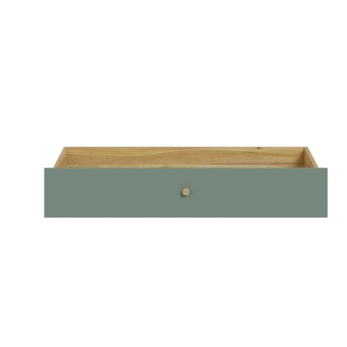 WQNL01-M748 Unterbettkommode mit Rollen WHENUA Schublade Mauvella Eiche/Salbei ca. 103 x 19 x 53 cm WQNL01-M748 Unterbettkommode mit Rollen WHENUA Schublade Mauvella Eiche/Salbei ca. 103 x 19 x 53 cm von DEINE TANTE EMMA