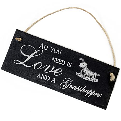 Schiefertafel Deko niedlicher Grashüpfer Schild 22 x 8 cm - All you need is Love and a Grasshopper - Wanddeko Dekoration Türschild Schiefertafel Deko niedlicher Grashüpfer Schild 22 x 8 cm - All you need is Love and a Grasshopper - Wanddeko Dekoration Türschild von DEKO-LANDO