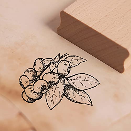 Stempel Heidelbeere - Motivstempel ca. 38 x 27 mm Stempel Heidelbeere - Motivstempel ca. 38 x 27 mm von DEKO-LANDO