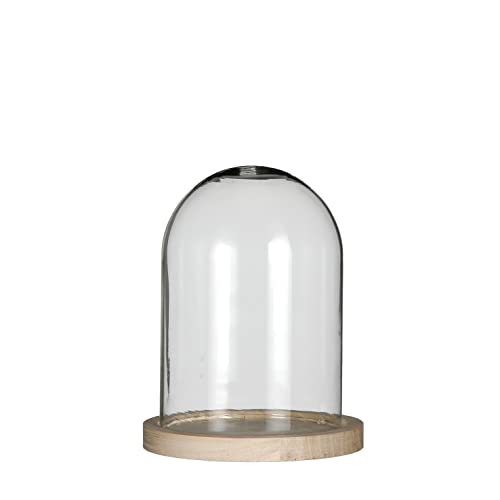 Glockenglas Glaskuppel Glashaube Glas Glocke Glass Dome mit Boden, Ø 12 cm, Höhe: 16 cm mit Holzbasis, Glasdurchmesser: Ø 9,5 cm - Glashöhe: 14 cm von DEKO MARKET