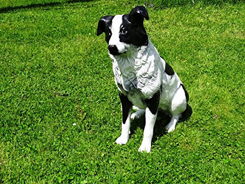 DEKO VERTRIEB BAYERN XL Border Collie LEBENSGROSS~Figur~HUNDEFIGUR LEBENSGRÖSSE~Hund Deluxe TOP Gartendeko ~Garten Dekoration von DEKO VERTRIEB BAYERN