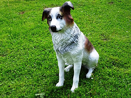 XL Australian Shepherd~Figur~HUNDEFIGUR DEKO IN LEBENSGRÖSSE~Hund Deluxe Gartendeko 80cm~Gartendekoration XL Australian Shepherd~Figur~HUNDEFIGUR DEKO IN LEBENSGRÖSSE~Hund Deluxe Gartendeko 80cm~Gartendekoration von DEKO VERTRIEB BAYERN