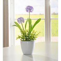 Kunstpflanze Allium flieder, 27 cm hoch im Keramik Übertopf, Topfpflanze, künstliche Pflanze von DEKO