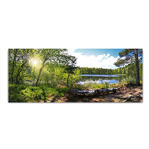 DEKOGLAS Glasbild 'Wald See' Echtglas Bild Küche, Wandbild Flur Bilder Wohnzimmer Wanddeko, einteilig 125x50 cm von DEKOGLAS