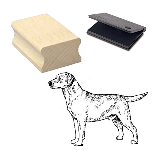 « LABRADOR BLOND » Motivstempel mit Kissen Scrapbooking - Embossing - Basteln - Hund Motiv 1 « LABRADOR BLOND » Motivstempel mit Kissen Scrapbooking - Embossing - Basteln - Hund Motiv 1 von DEKOLANDO
